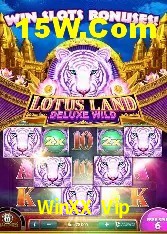 Estatísticas do Jogo WinXX Vip