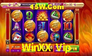 Sinta a adrenalina dos jogos de cassino com WinXX Vip